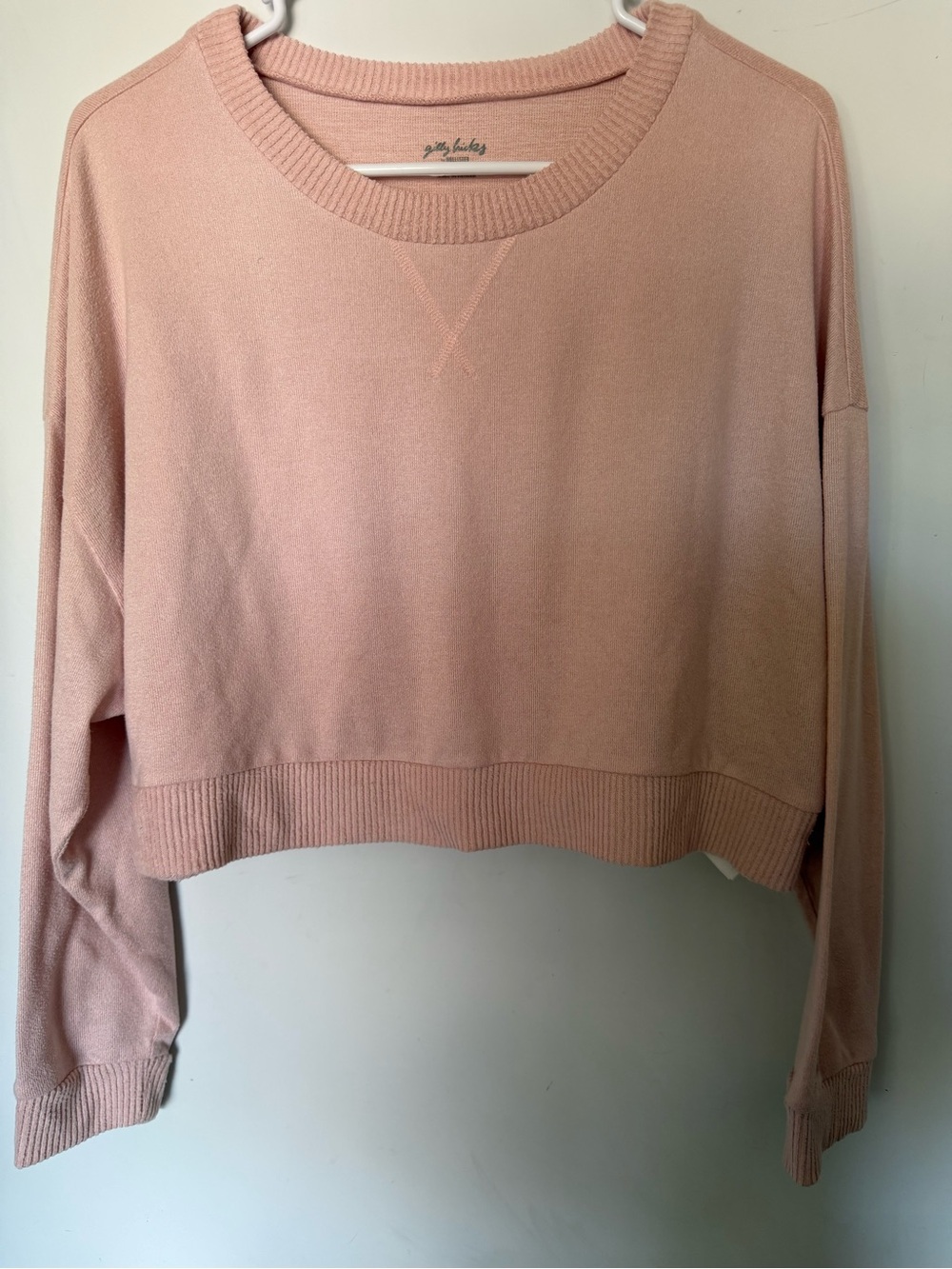 Gilly Hicks Cropped Crewneck Sweater in Blush Pink